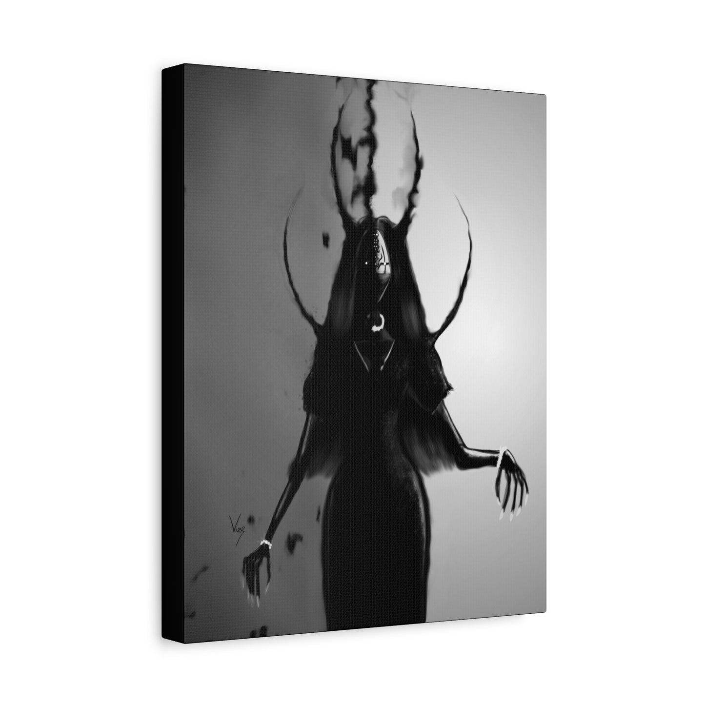 Bian Lian III: Umbra, 11x14 Canvas Print